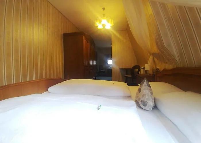 Schwarzer Adler 酒店 罗滕堡