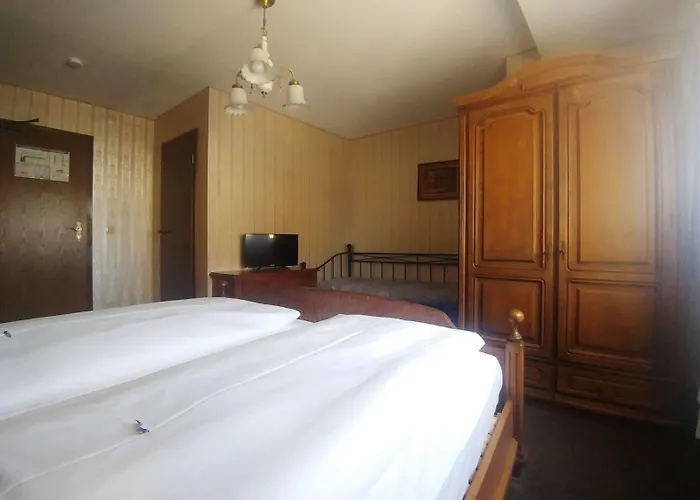 酒店 Schwarzer Adler 3*