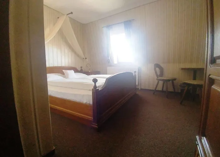 Schwarzer Adler 酒店 罗滕堡