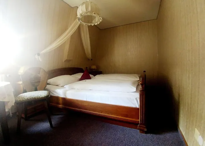 酒店 Schwarzer Adler 3*